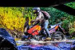 Suzuki DL 650 Vstrom – Crash Bars - Image 5
